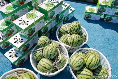 吃瓜的亚子,一场全民参与的娱乐盛宴  第3张