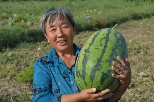 米墩吃瓜  第2张