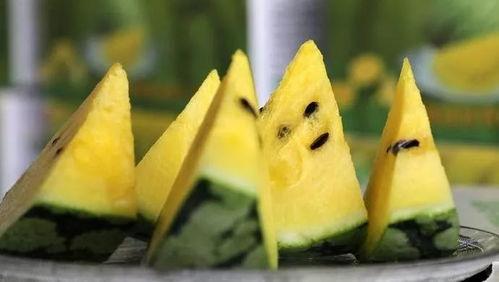 皇冠瓜怎么吃  第3张