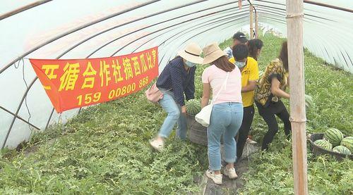 上思吃瓜群众,揭秘当地热点事件背后的故事  第1张