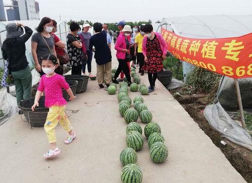 上思吃瓜群众,揭秘当地热点事件背后的故事  第2张