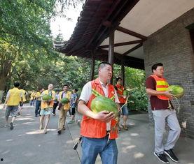 上思吃瓜群众,揭秘当地热点事件背后的故事  第3张