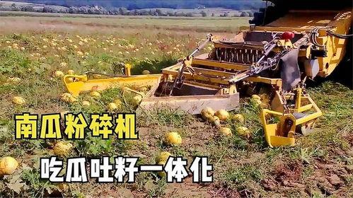 吃瓜粉碎机,吃瓜粉碎机带你直击真相风暴  第3张