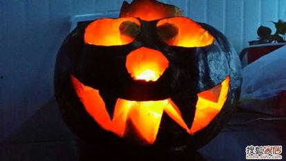 吃瓜小怪兽1227,瓜界新星的崛起之路  第3张