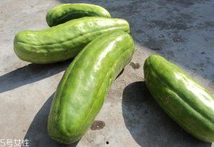 晚上吃脆甜蜜瓜  第2张