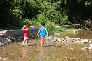 景区近距离吃瓜,近距离体验田园美味  第3张