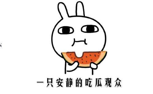 吃瓜群众看生活