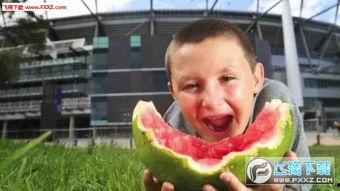 泰勒吃瓜表情包图片,笑翻网友的“瓜界”新宠