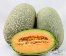 血管炎可以吃哈密瓜吗,哈密瓜的益处与注意事项  第2张