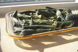 肇庆学校吃瓜,揭秘校园美食风云录  第2张