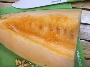 广西柳州高清吃瓜,揭秘柳州美食背后的故事  第2张