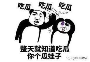 带你吃瓜酒水车,带你领略“吃瓜酒水车”的独特魅力之旅  第2张