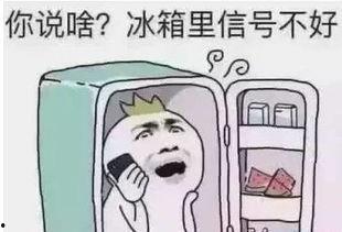 带你吃瓜酒水车,带你领略“吃瓜酒水车”的独特魅力之旅  第3张