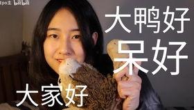 吃瓜群众祁小姐  第2张